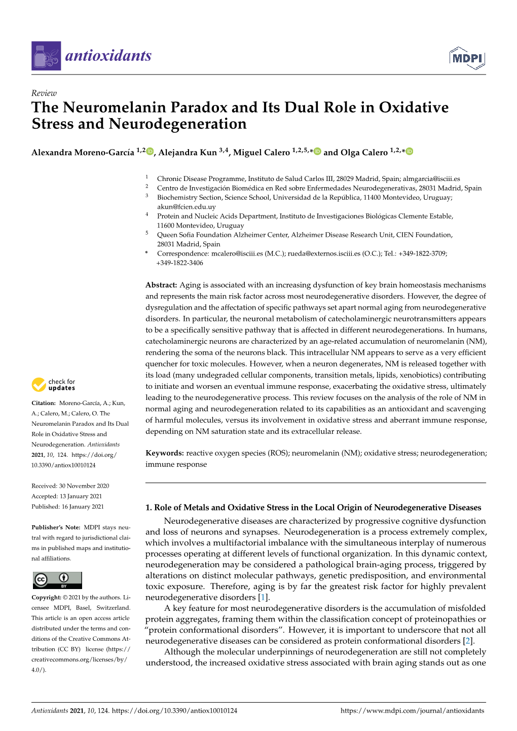 The Neuromelanin Paradox and Its Dual Role in Oxidative Stress and Neurodegeneration
