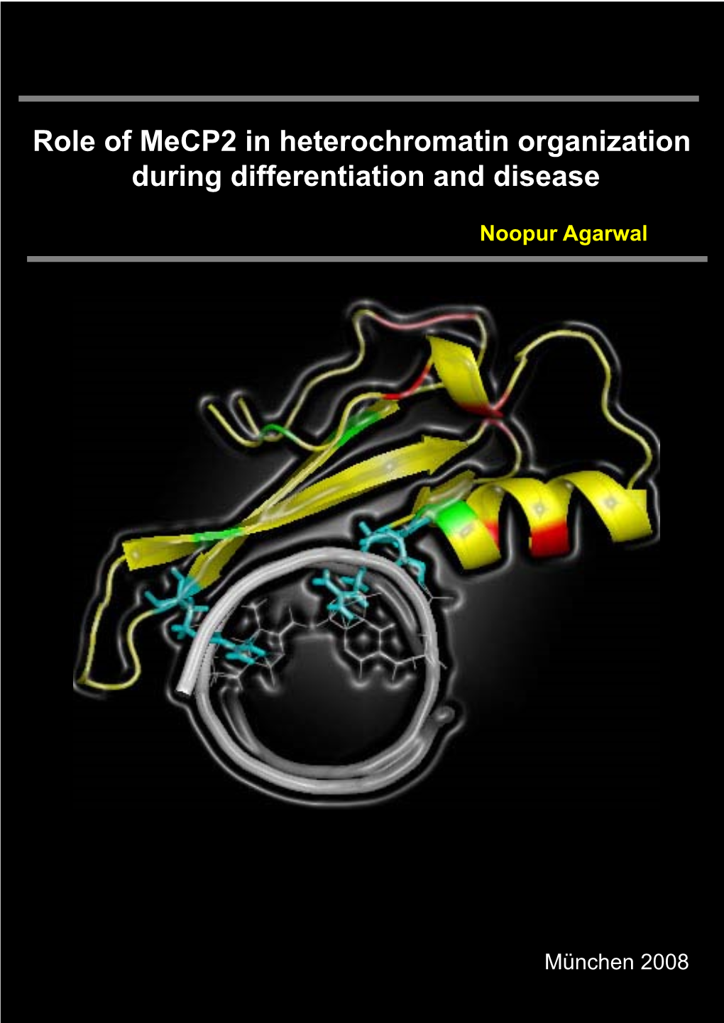 Role of Mecp2 in Heterochromatin Organization During Differentiation and Disease