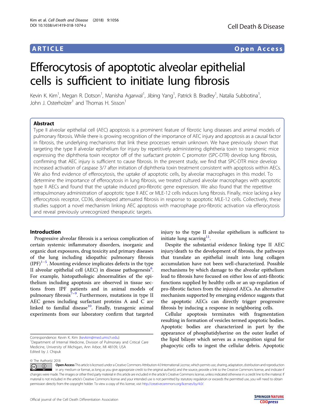 Efferocytosis of Apoptotic Alveolar Epithelial Cells Is Sufficient to Initiate