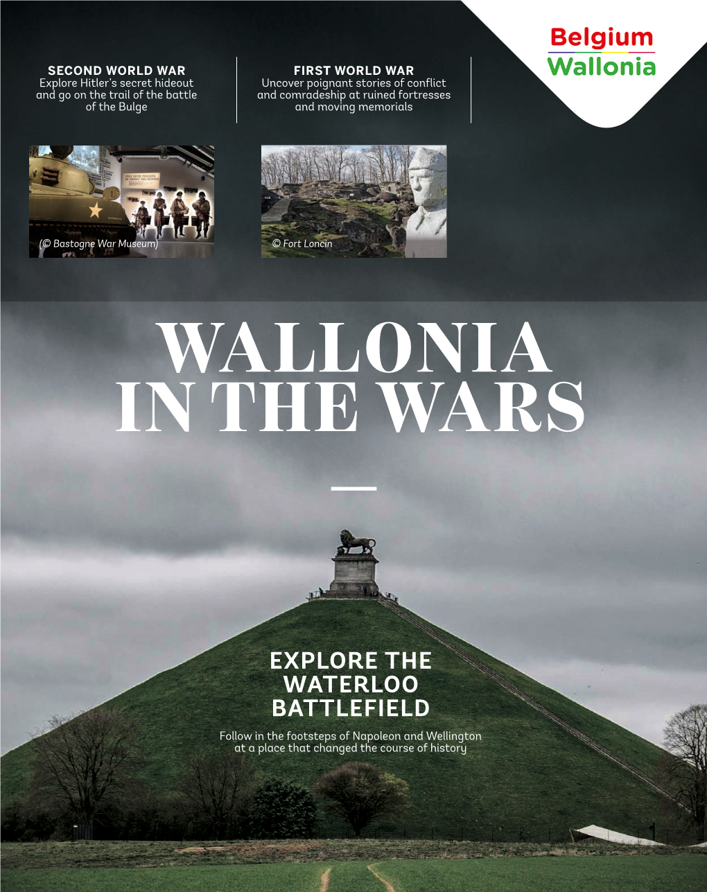 Wallonia in the Wars