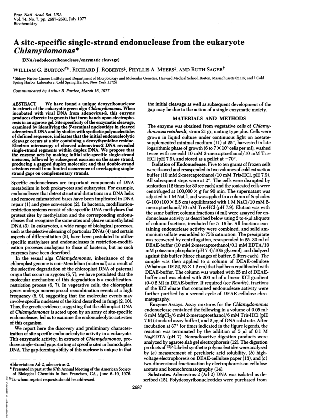 A Site-Specific Single-Strand Endonuclease from the Eukaryote Chlamydomonas* (DNA/Endodeoxyribonuclease/Enzymatic Cleavage) WILLIAM G