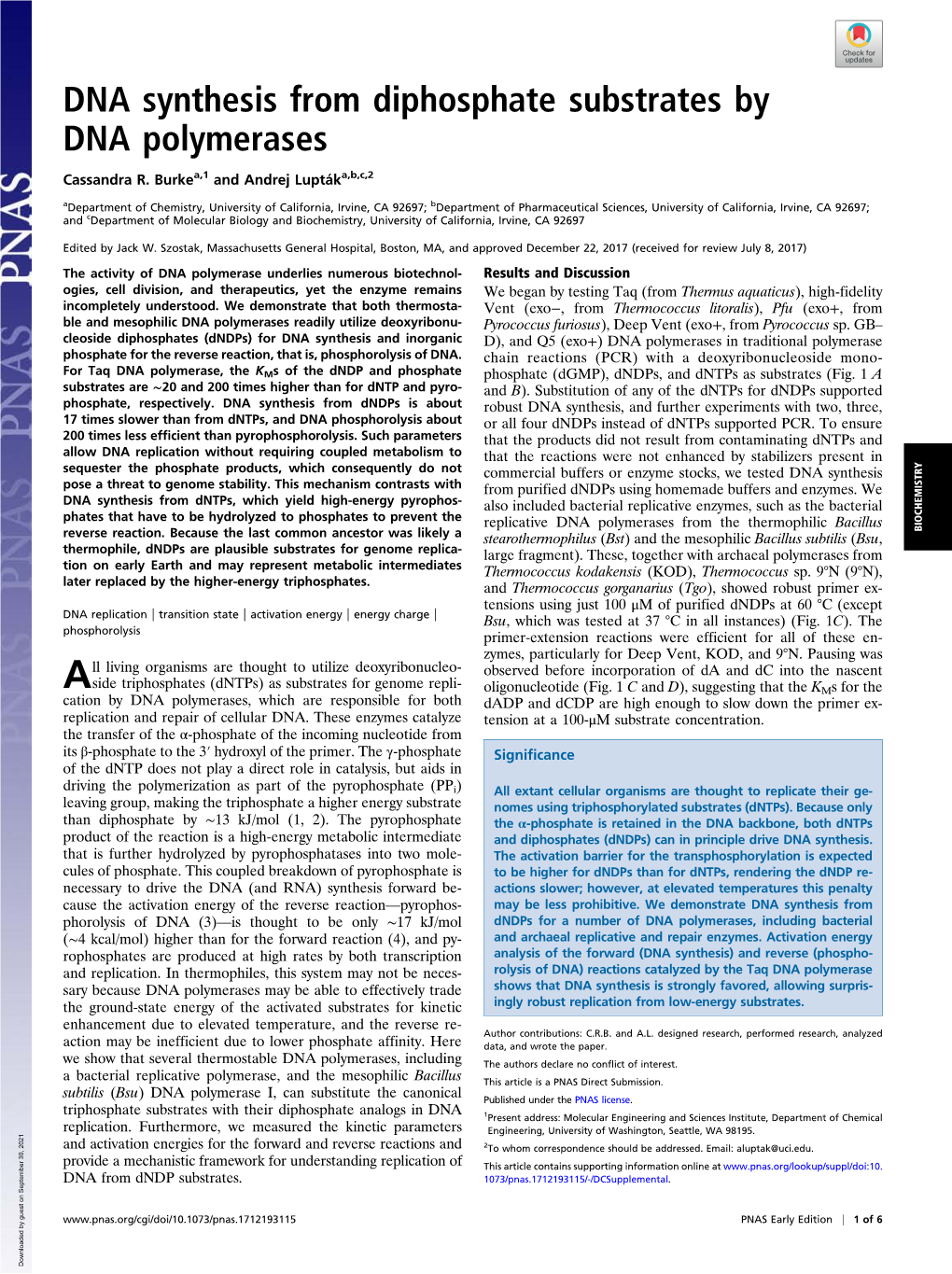 DNA Synthesis from Diphosphate Substrates by DNA Polymerases