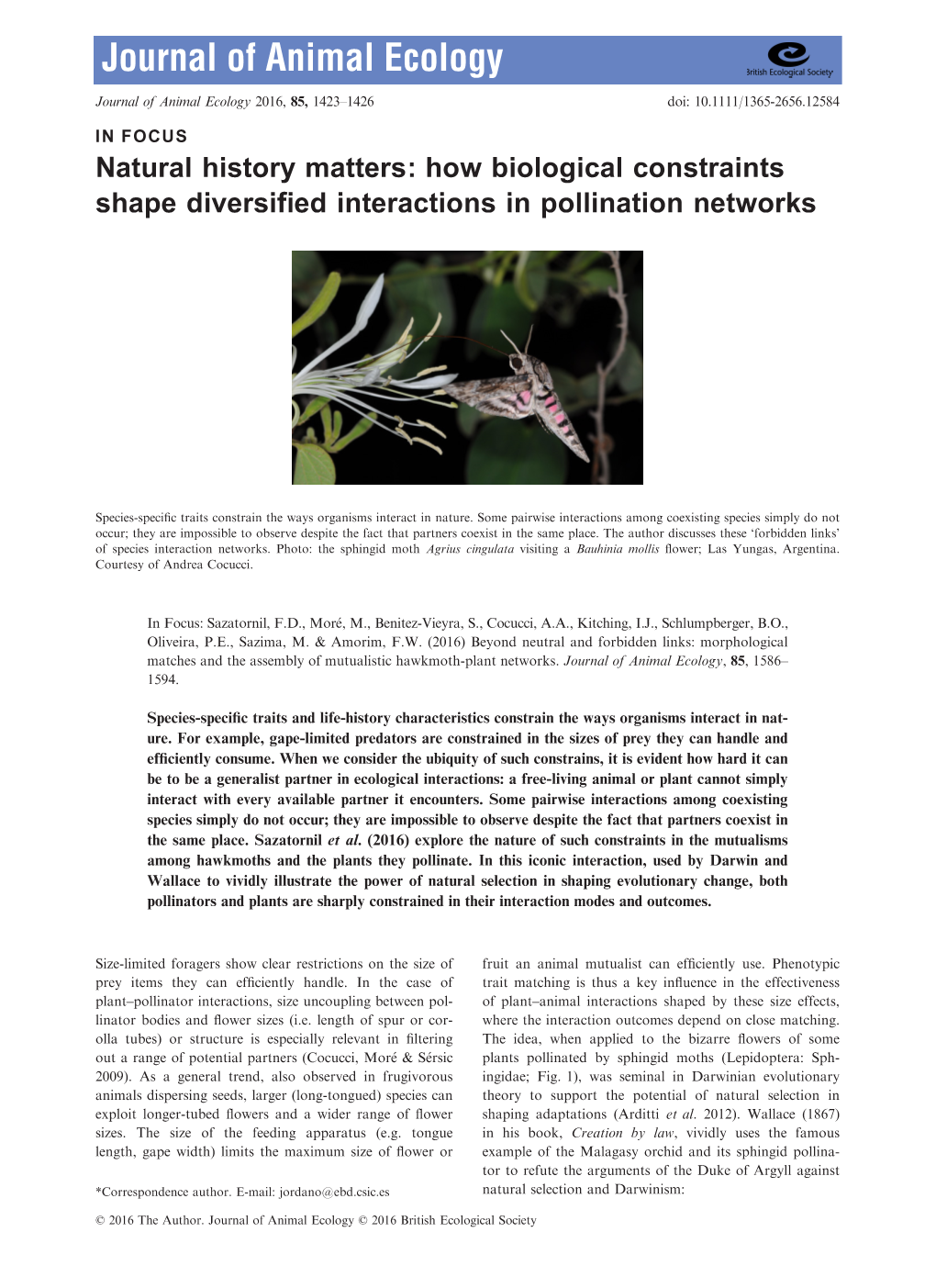 How Biological Constraints Shape Diversified