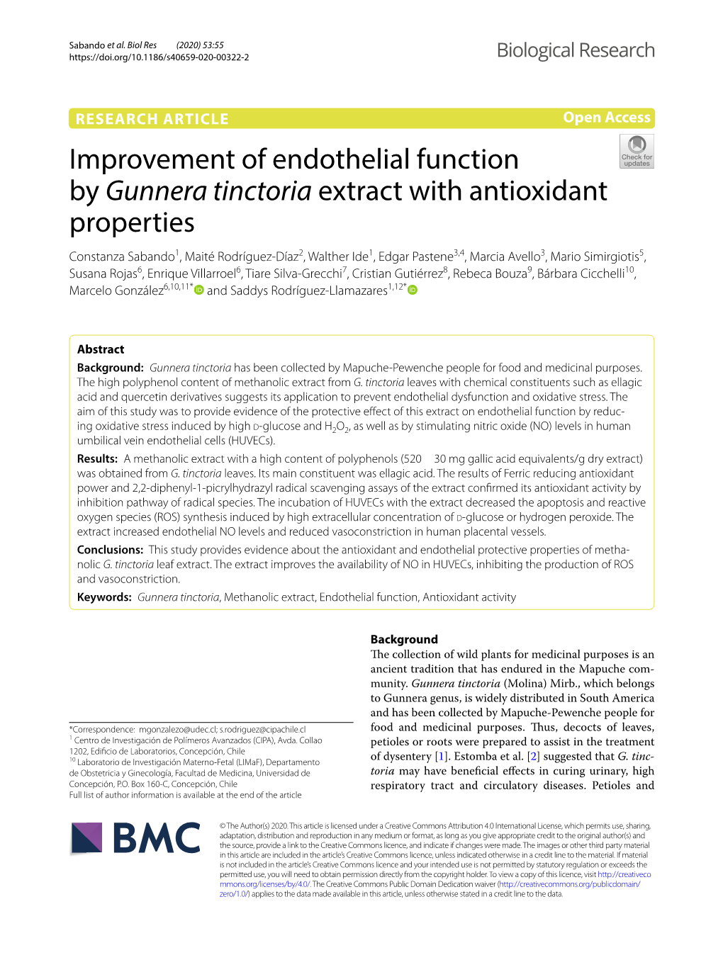 Improvement of Endothelial Function by Gunnera Tinctoria Extract With