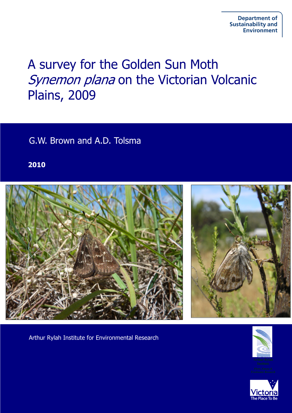 A Survey for the Golden Sun Moth Synemon Plana on the Victorian Volcanic Plains, 2009