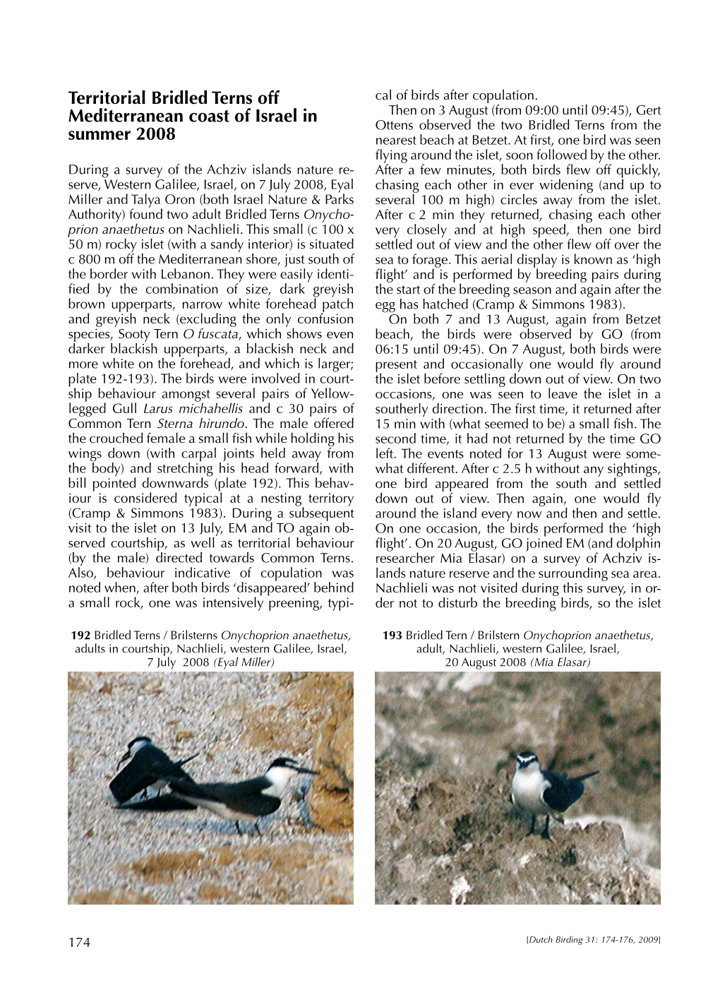 Territorial Bridled Terns Off Mediterranean Coast of Israel in Summer 2008 Was Watched from a Boat, from C 06:30 to 07:00