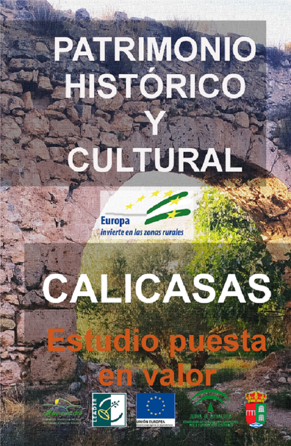 Patrimoniocalicasas5.Pdf