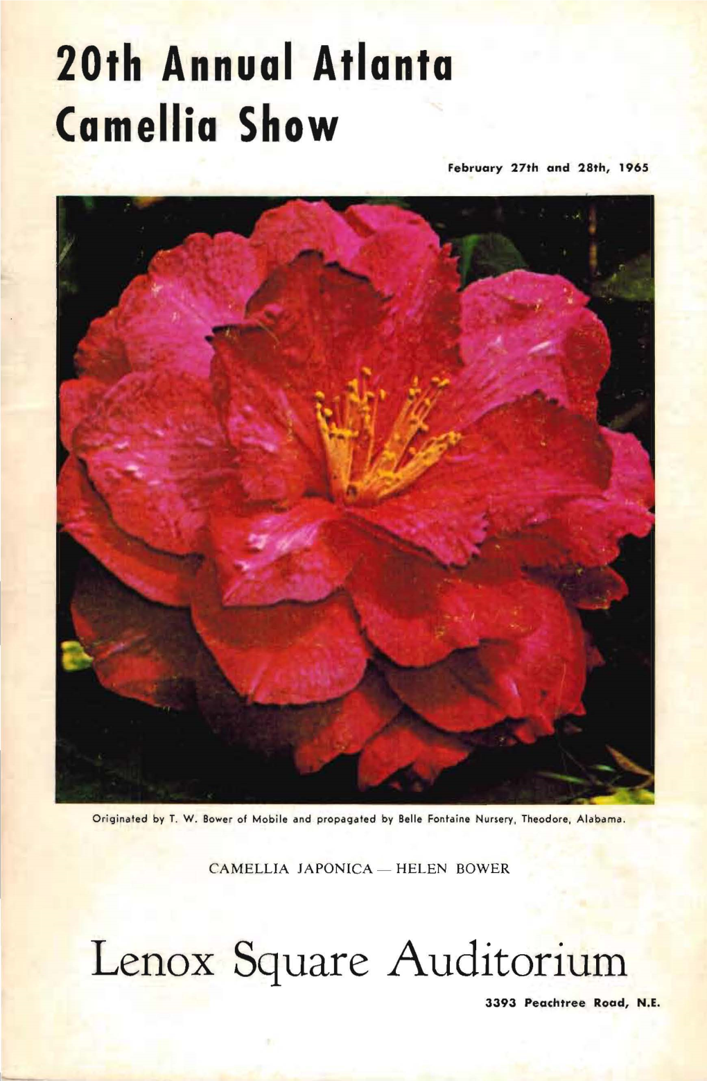 20Th Annual Atlanta Camellia Show