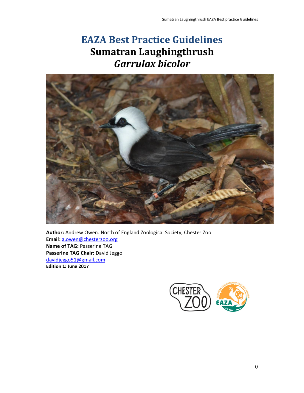 EAZA Best Practice Guidelines Sumatran Laughingthrush Garrulax Bicolor