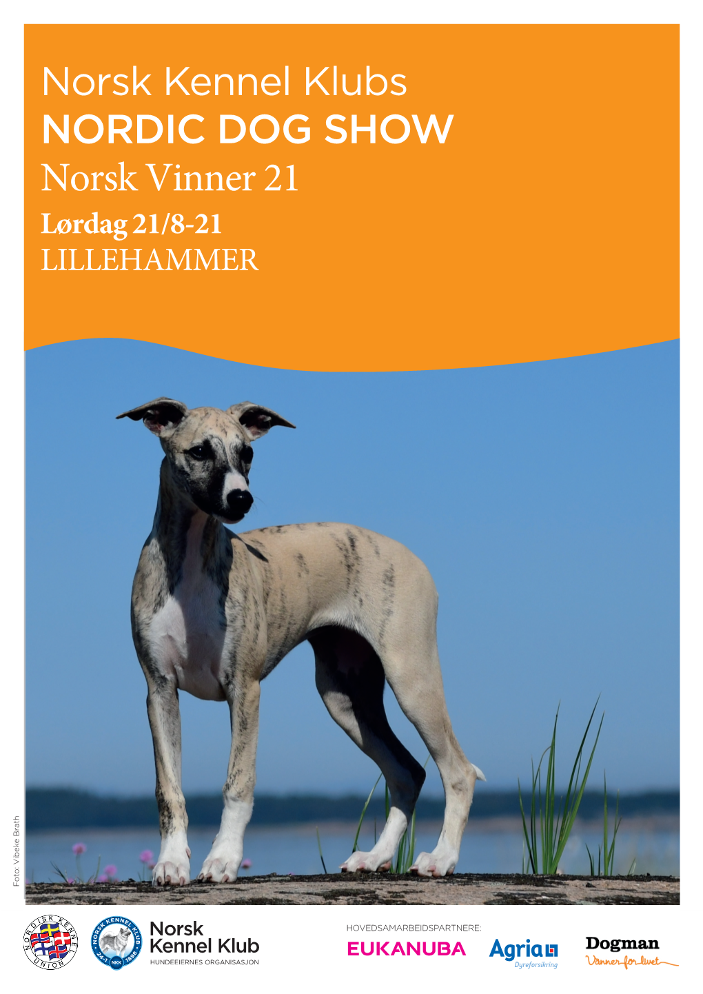 NORDIC DOG SHOW Norsk Vinner 21 Lørdag 21/8-21 LILLEHAMMER Foto: Vibeke Brath Vibeke Foto