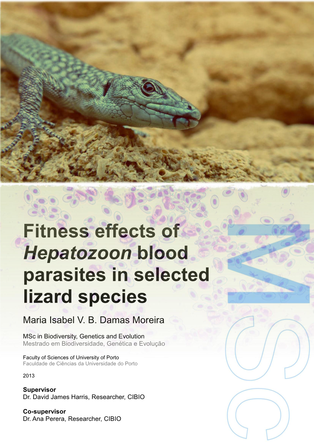 Fitness Effects of Hepatozoon Blood Parasites in Selected Lizard Species Maria Isabel V