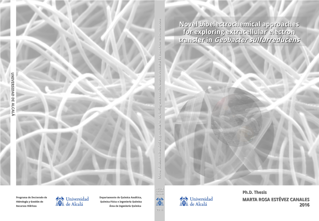 Transfer in Geobacter Sulfurreducenssulfurreducens E E T T C C