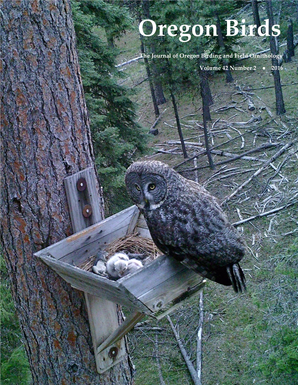 Oregon Birds