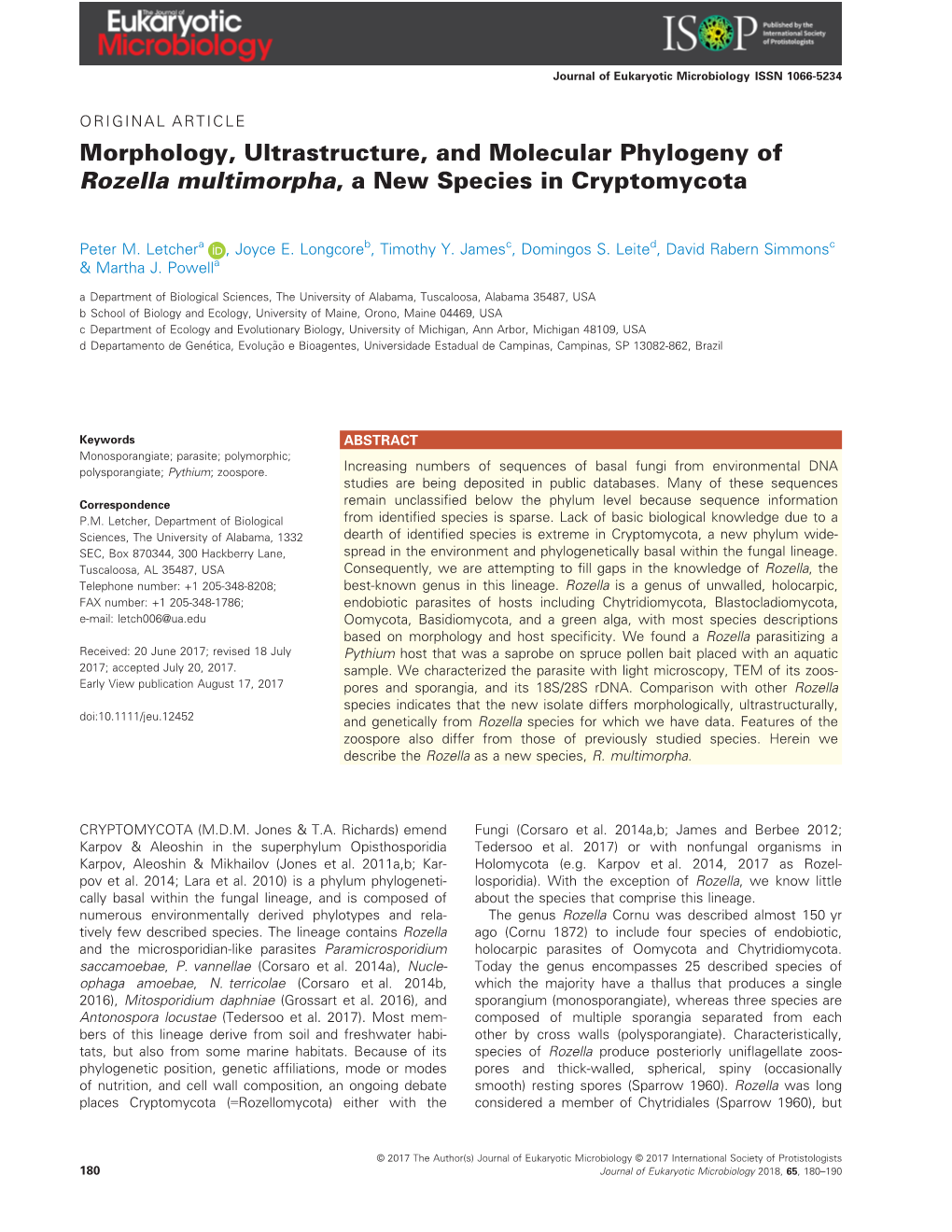 Morphology, Ultrastructure, and Molecular Phylogeny of Rozella Multimorpha, a New Species in Cryptomycota