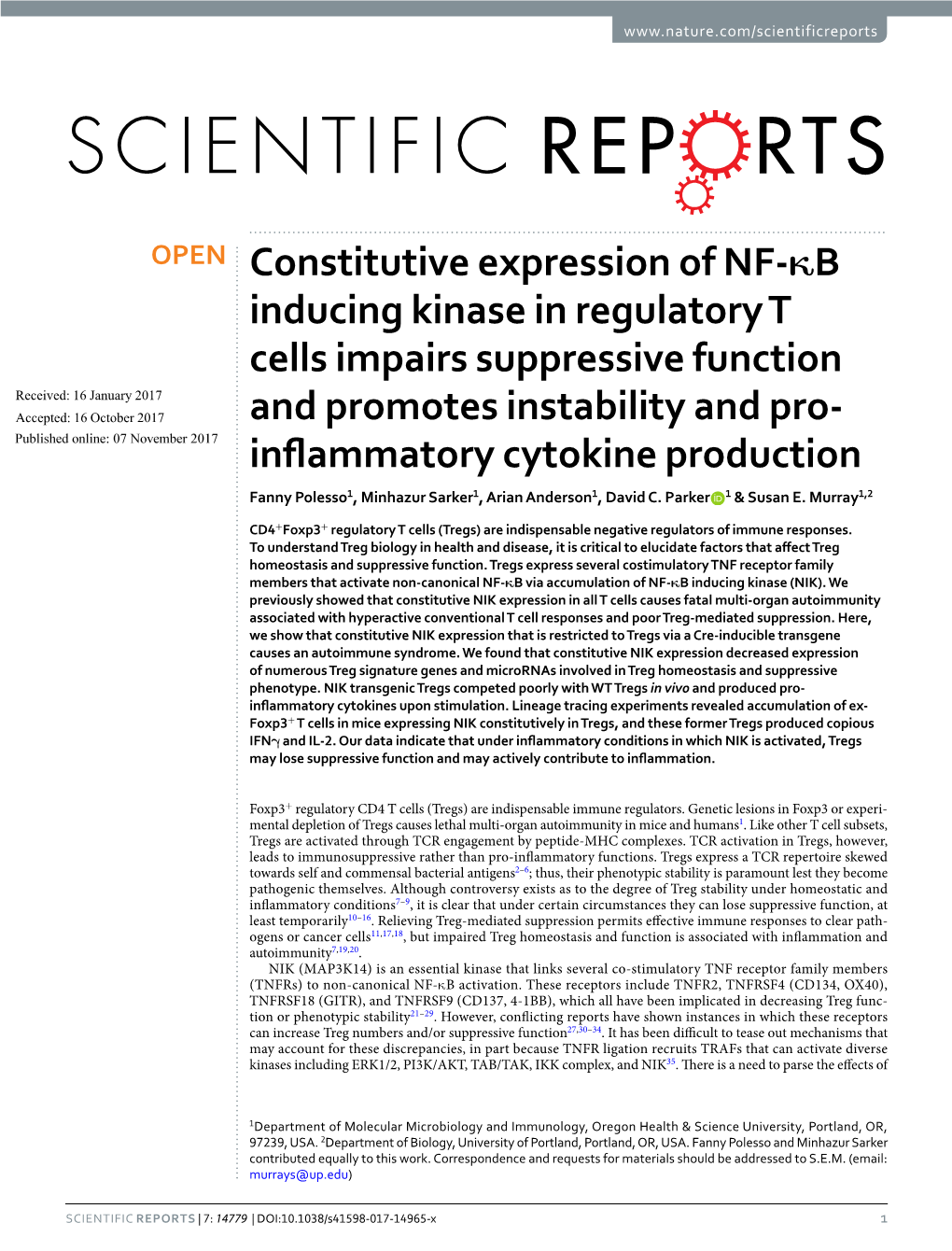 Constitutive Expression of NF-Κb Inducing Kinase in Regulatory T Cells