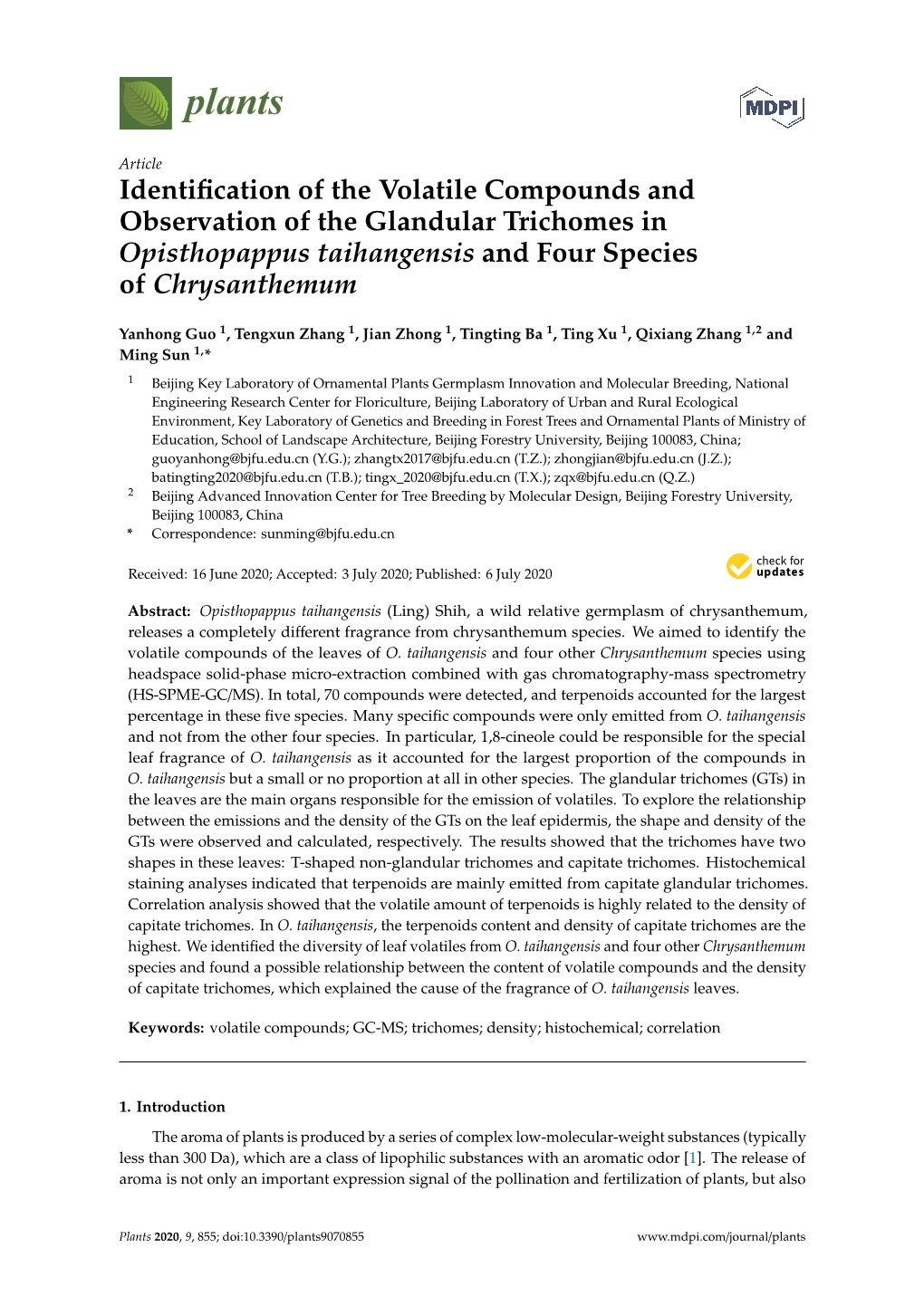 Identification of the Volatile Compounds and Observation of The