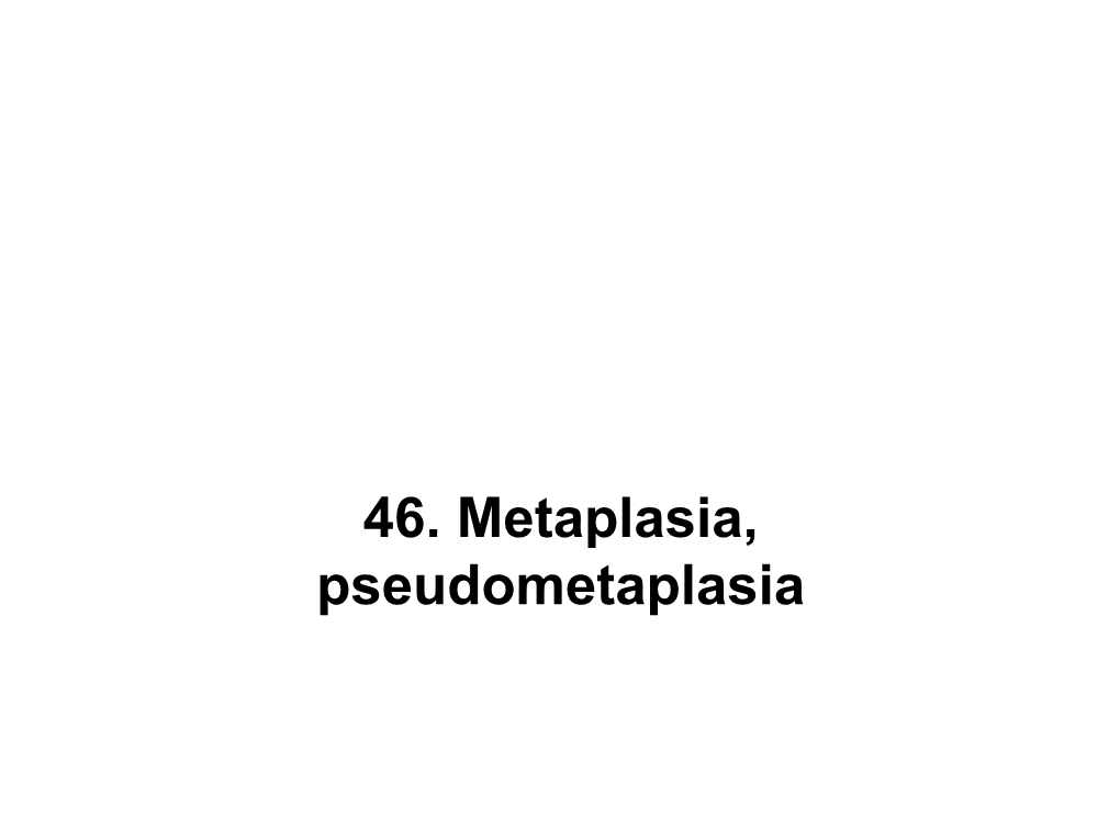 46. Metaplasia, Pseudometaplasia Regeneration