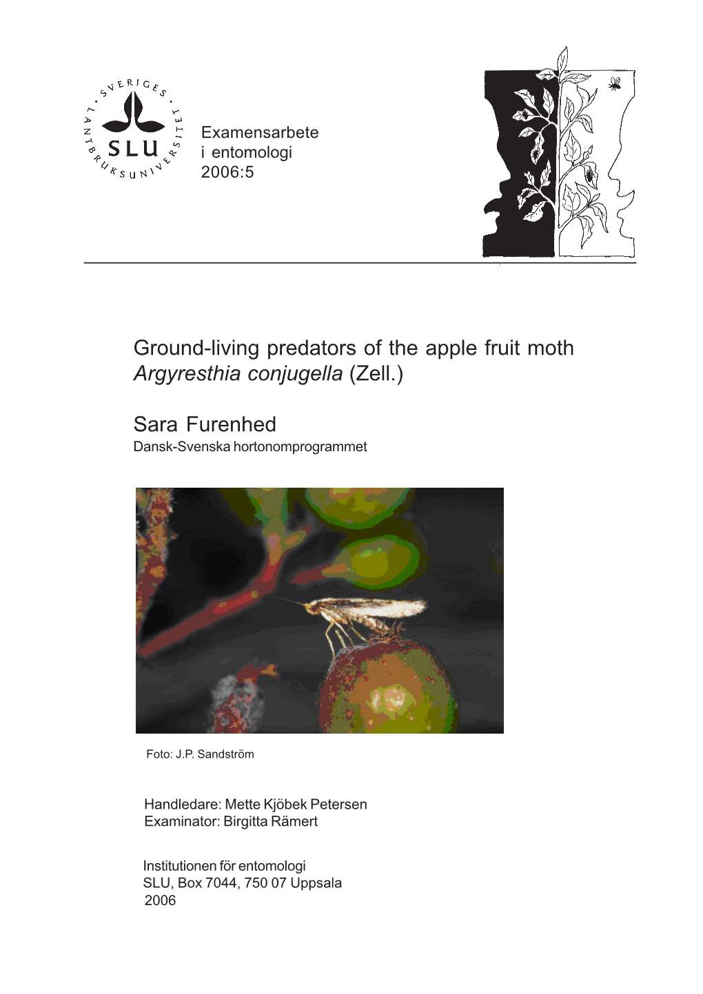 Ground-Living Predators of the Apple Fruit Moth Argyresthia Conjugella (Zell.)