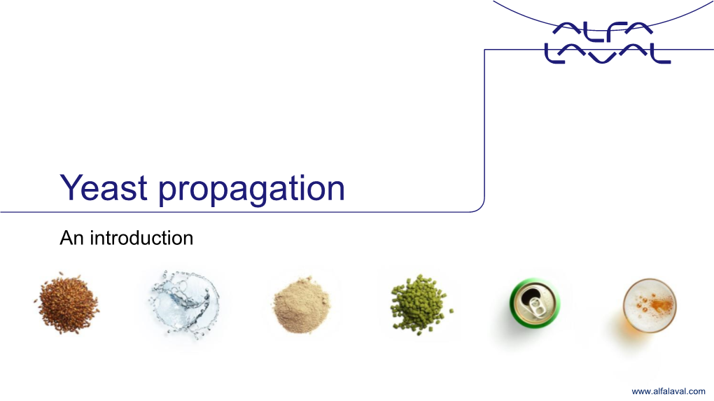 Webinar Yeast Management