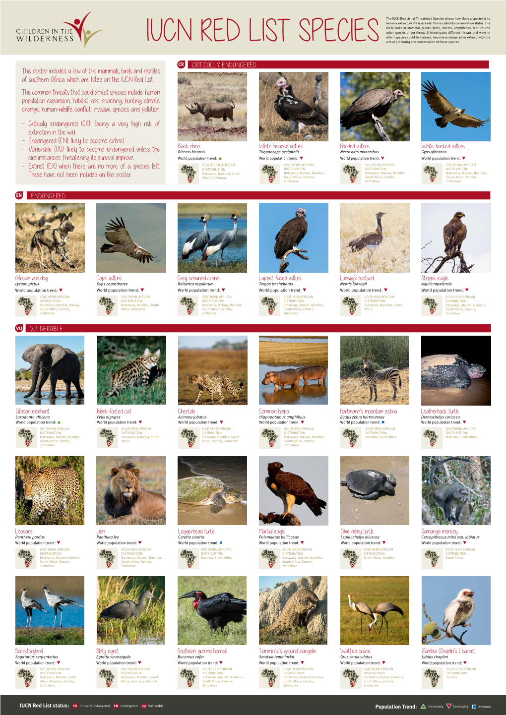 Endangered Wildlife Infographic Poster