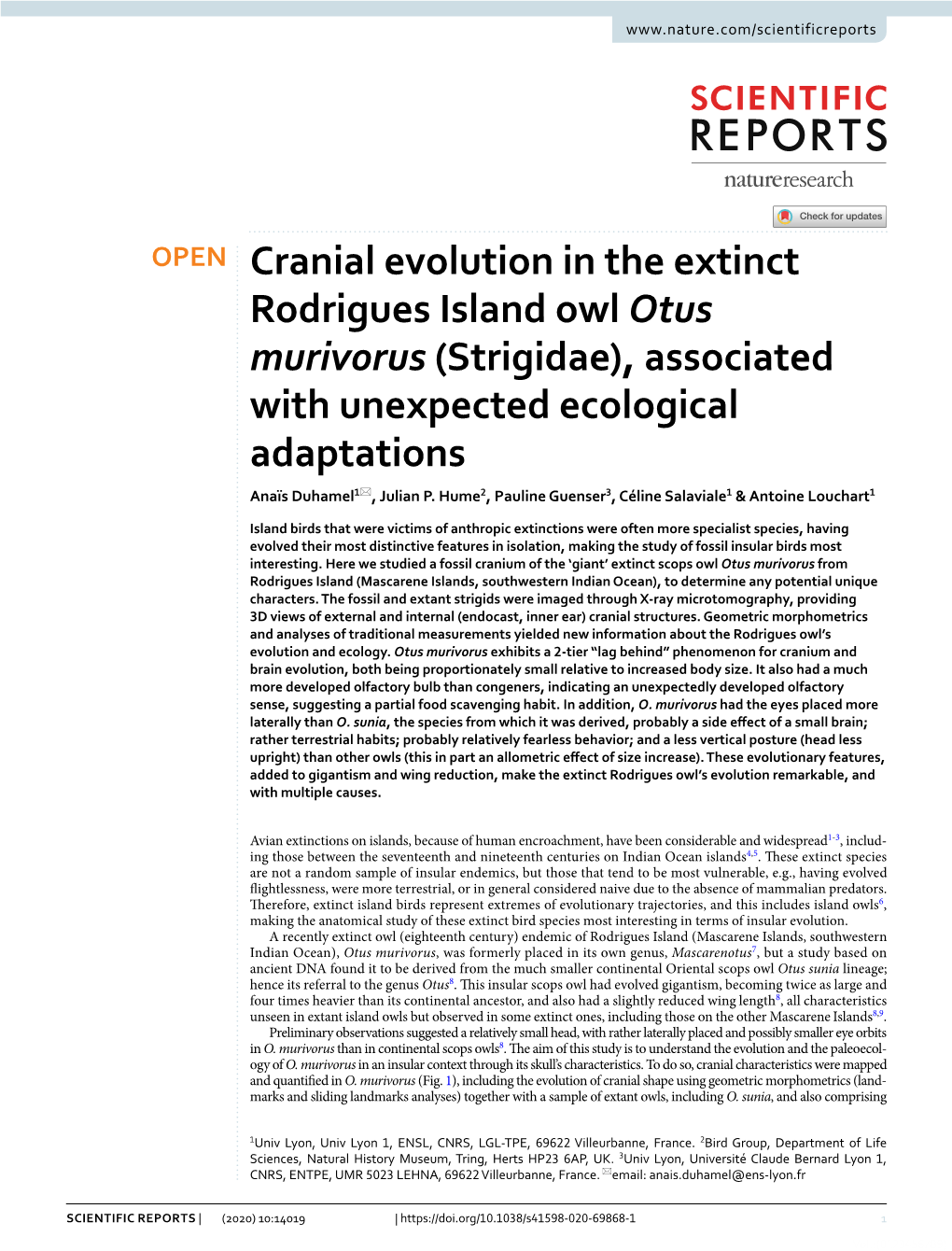 Cranial Evolution in the Extinct Rodrigues Island Owl Otus Murivorus (Strigidae), Associated with Unexpected Ecological Adaptations Anaïs Duhamel1*, Julian P