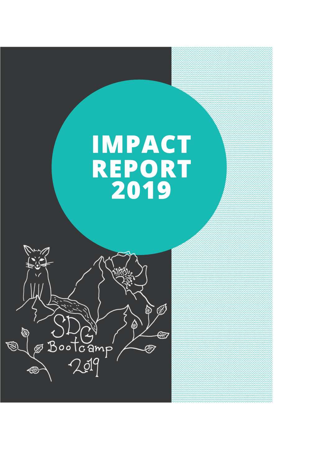 Final Impact Report 2019
