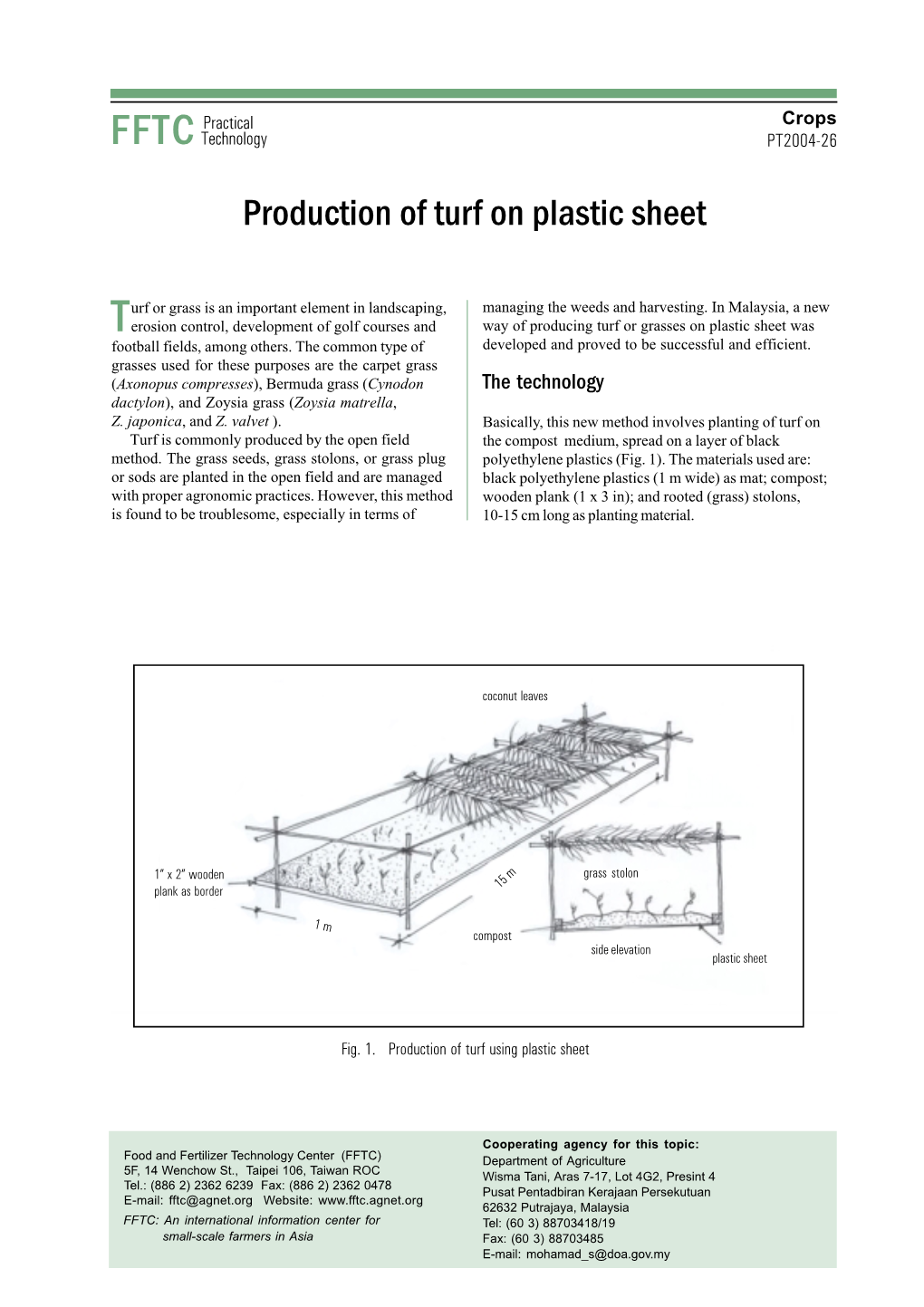 Production of Turf on Plastic Sheet