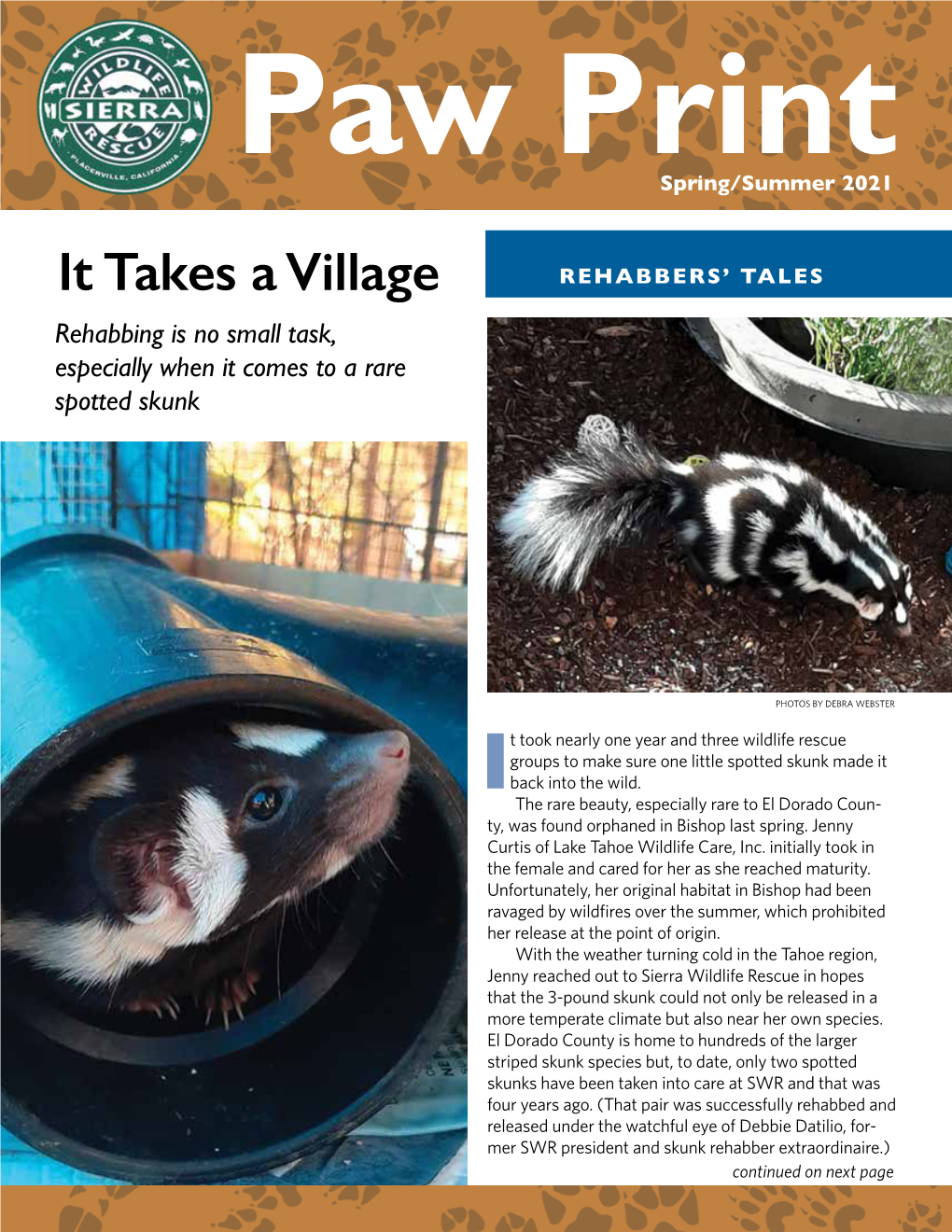 It Takes a Village REHABBERS’ TALES Rehabbing Is No Small Task, Especially When It Comes to a Rare Spotted Skunk