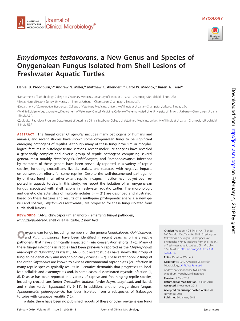 Emydomyces Testavorans, a New Genus and Species of Onygenalean Fungus Isolated from Shell Lesions of Freshwater Aquatic Turtles