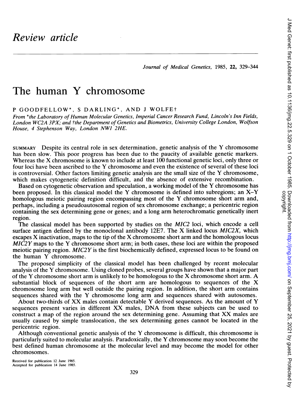 The Human Y Chromosome