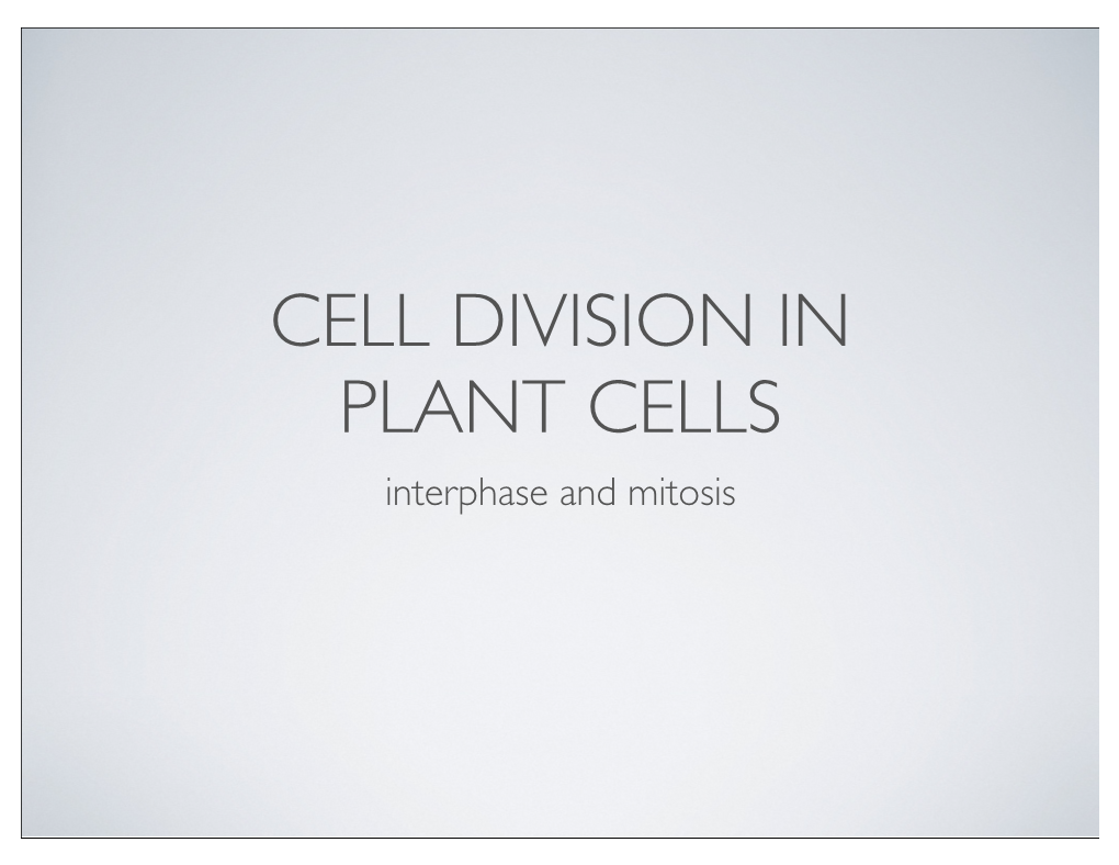 Plant Cell Mitosis