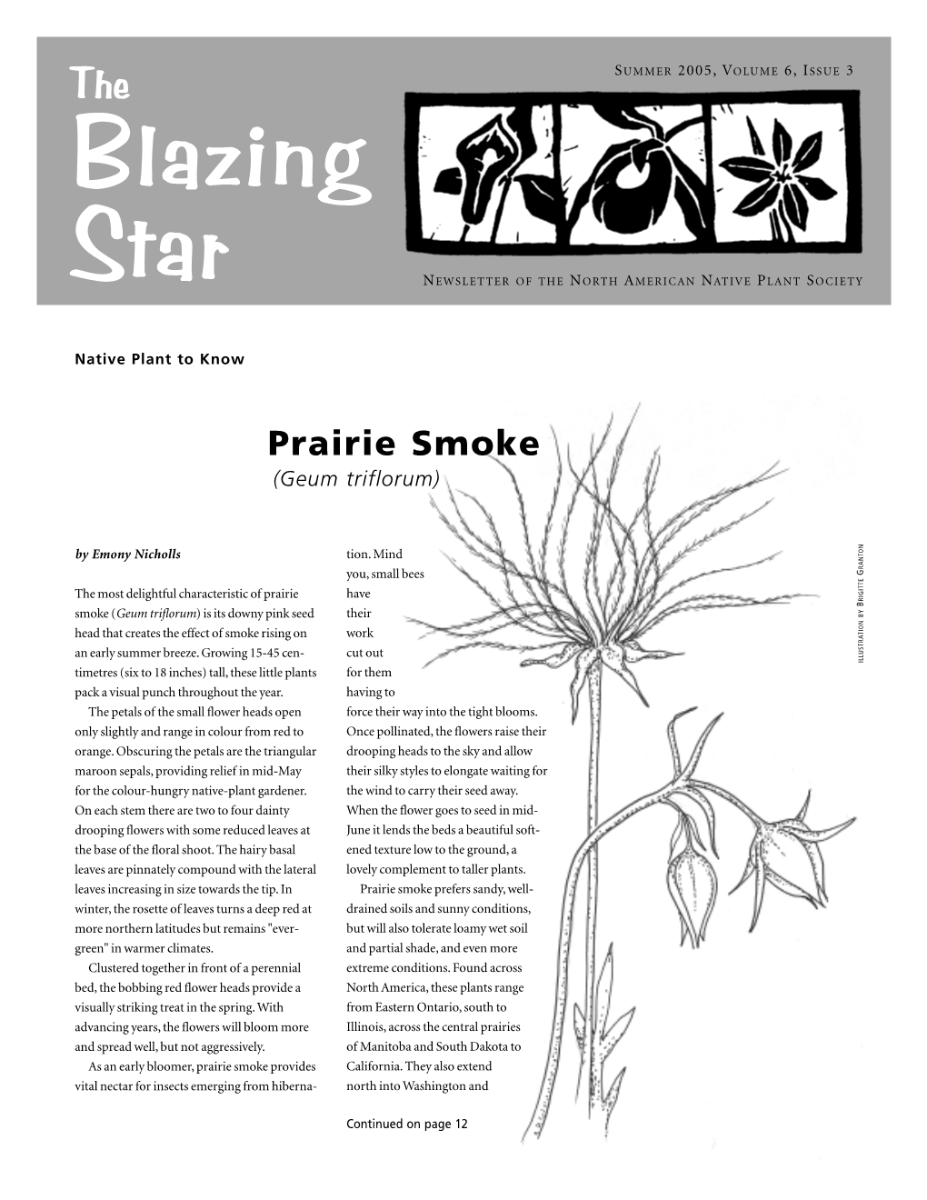 Prairie Smoke (Geum Triflorum)