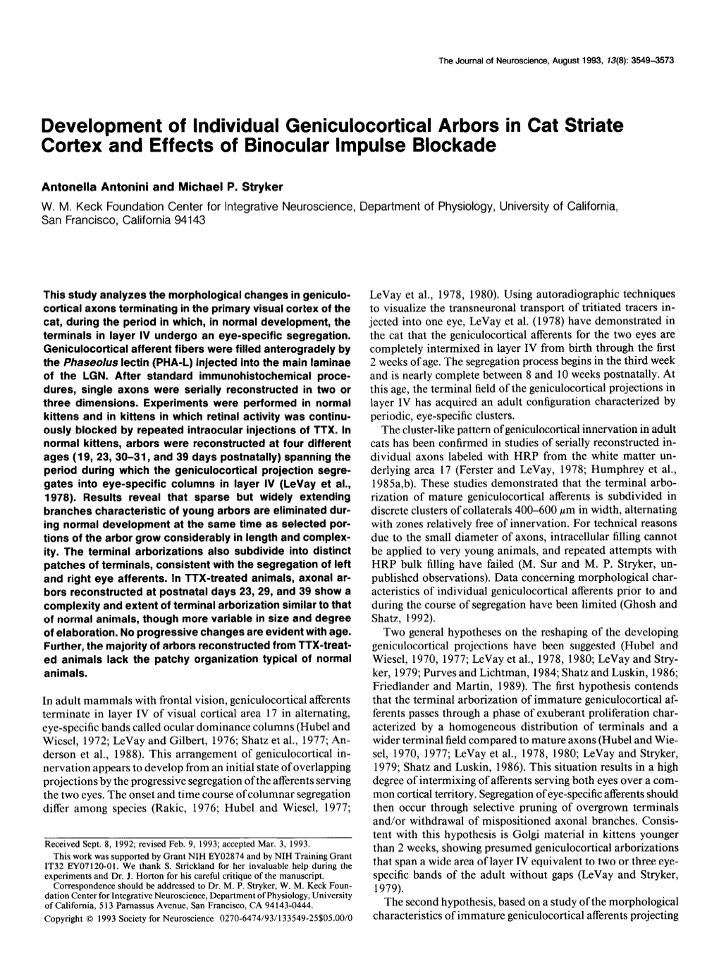 Development of Individual Geniculocortical Arbors in Cat Striate Cortex and Effects of Binocular Impulse Blockade