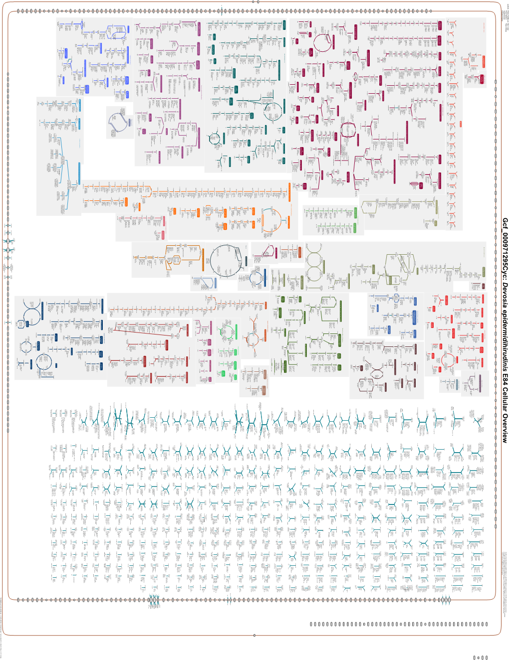 Generate Metabolic Map Poster