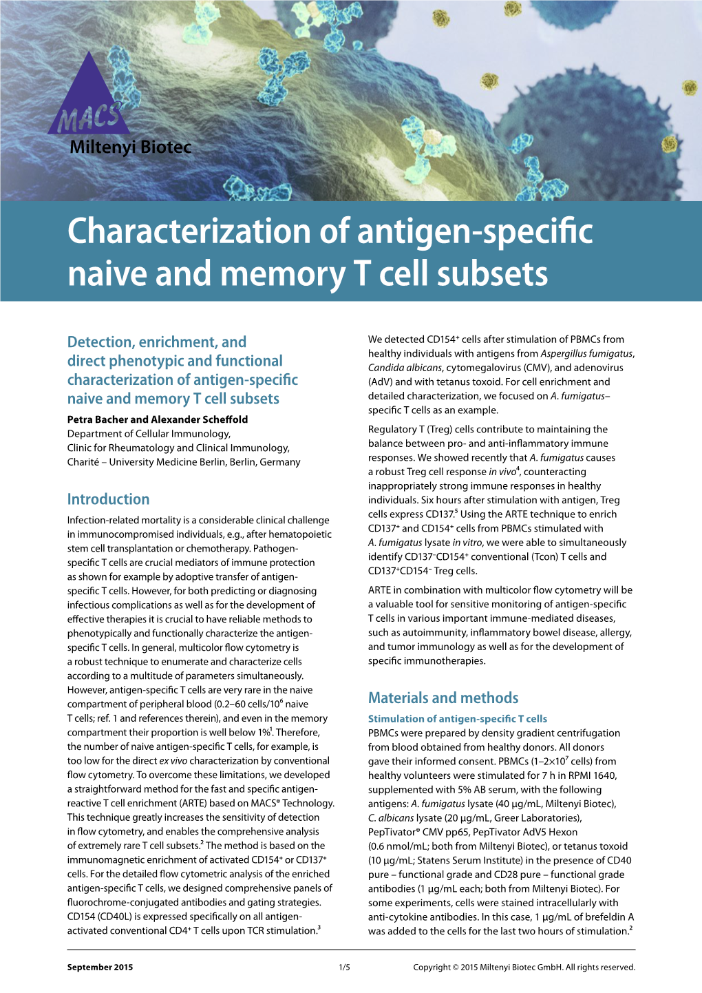 Characterization of Antigen-Specific Naive and Memory T Cell Subsets