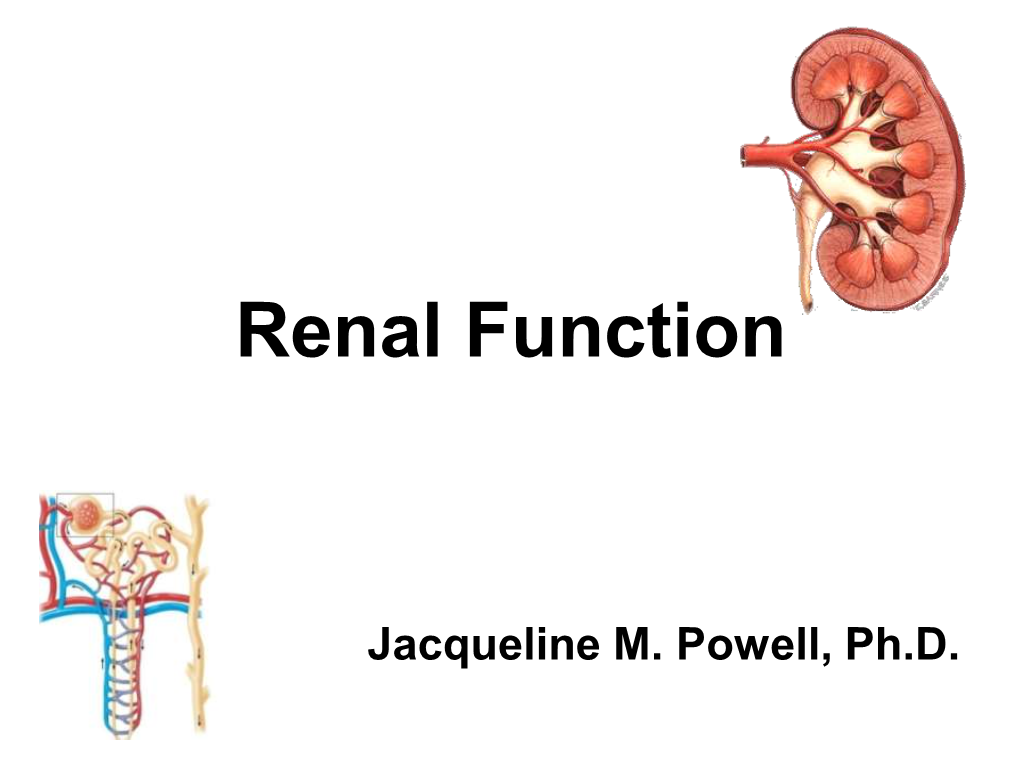 Renal Function