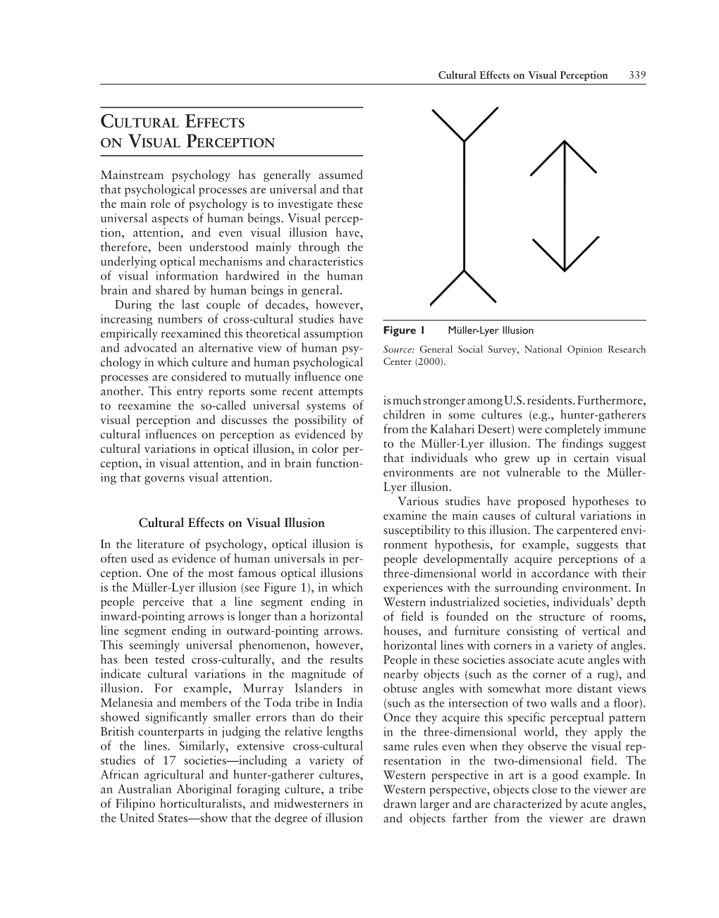 CULTURAL EFFECTS on VISUAL PERCEPTION Cultural Effects On