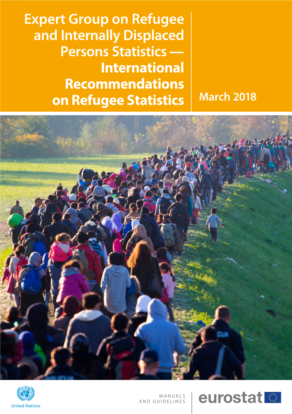 Expert Group on Refugee and Internally Displaced Persons Statistics