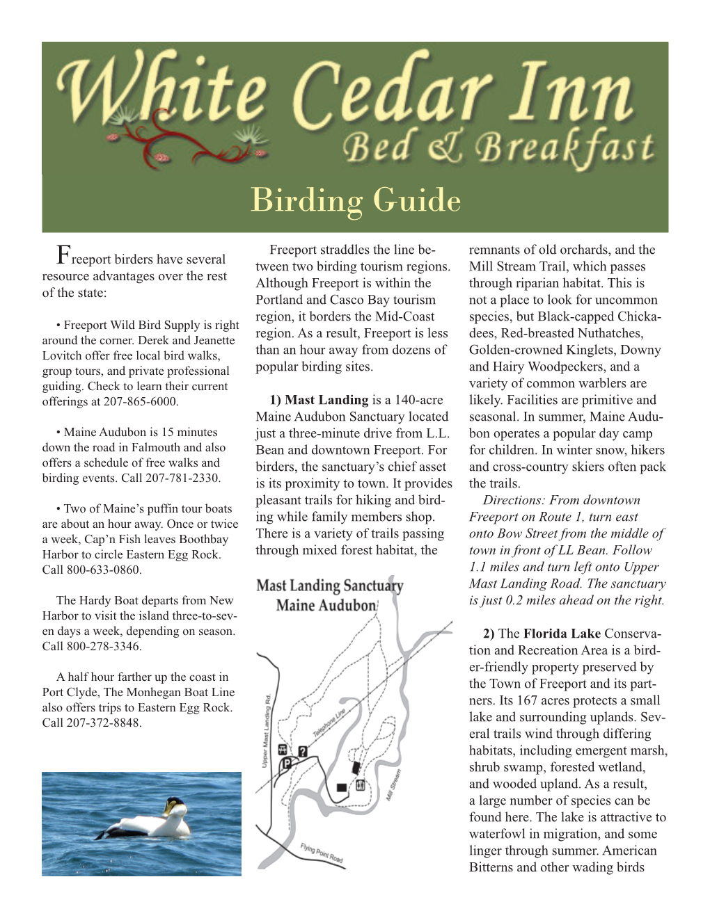 Birding Guide