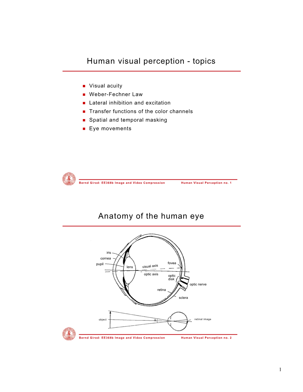 Human Visual Perception - Topics