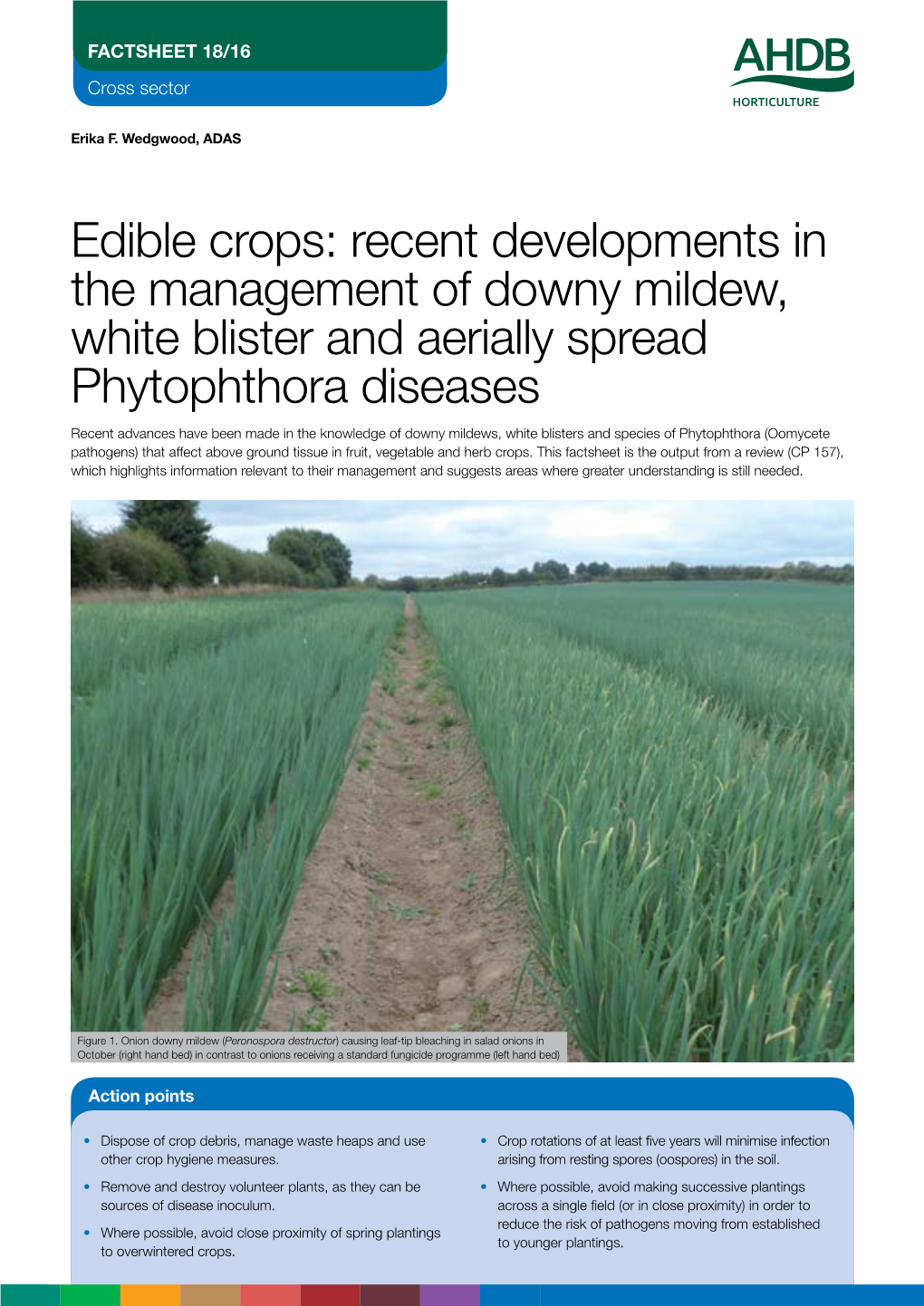 Edible Crops: Recent Developments in the Management of Downy Mildew, White Blister and Aerially Spread Phytophthora Diseases