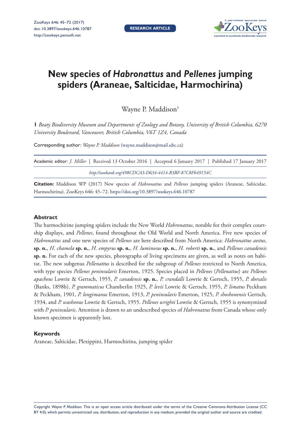 New Species of Habronattus and Pellenes Jumping Spiders (Araneae, Salticidae, Harmochirina)