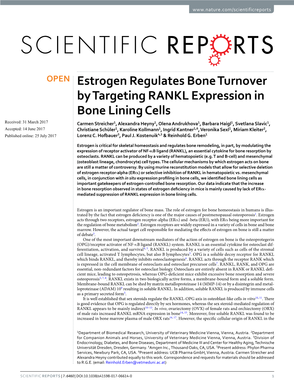 Estrogen Regulates Bone Turnover by Targeting RANKL Expression In