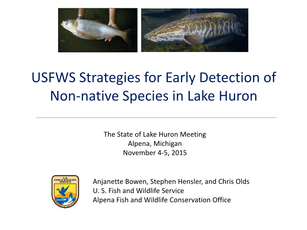 Aquatic Invasive Species Arly Detection & Monitoring in Lake Huron