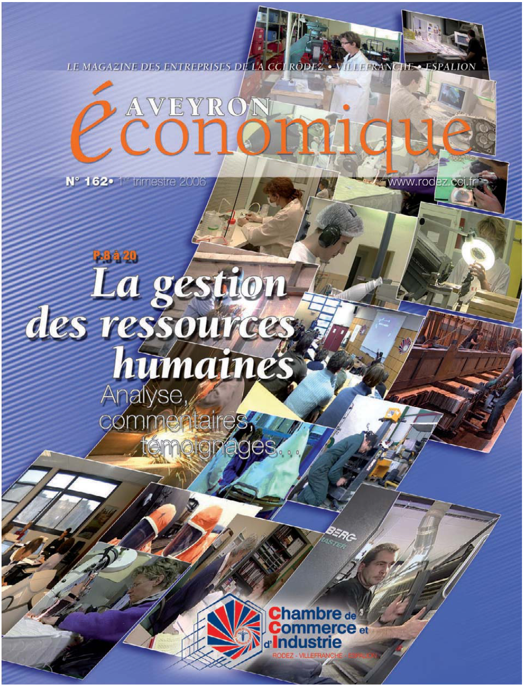 Aveyron Économique Questionnaire De Satisfaction