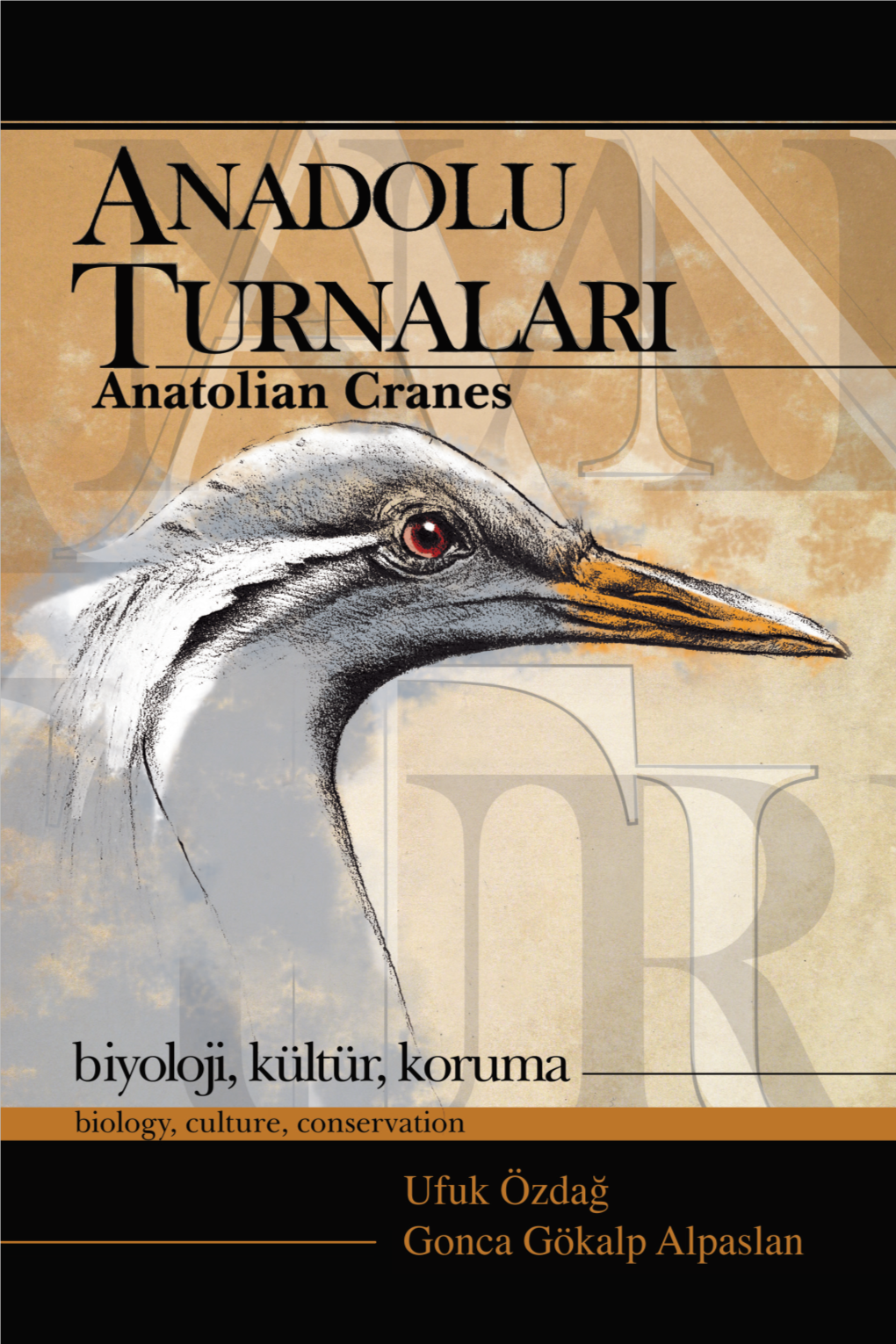 Anadolu Turnalari Anatolian Cranes