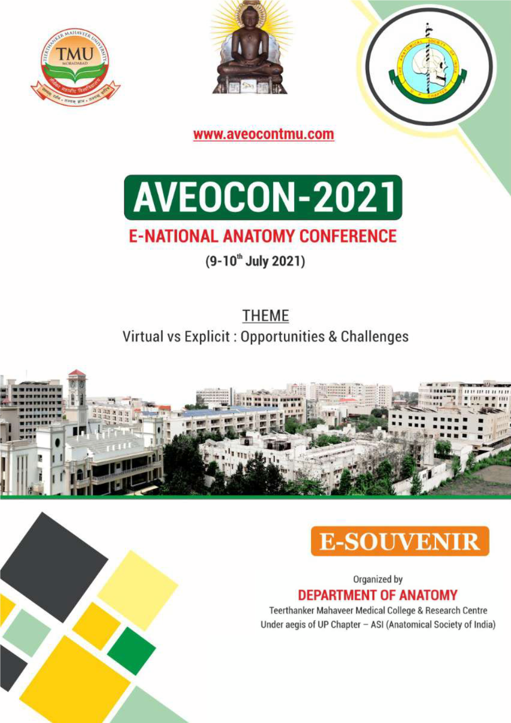 Final Souvenir Aveocon