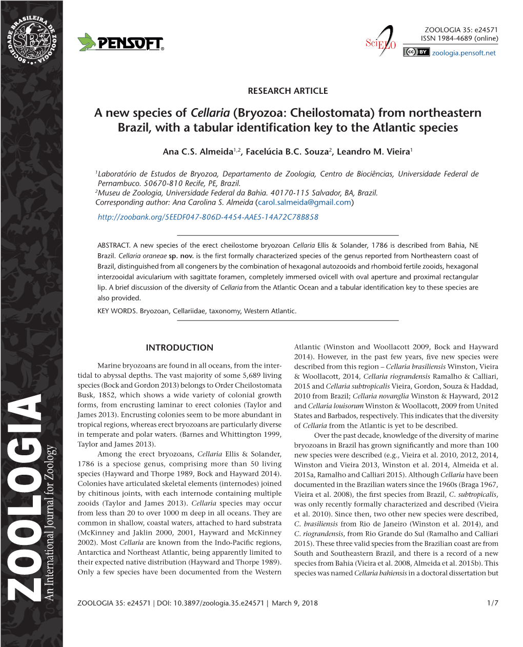 Bryozoa: Cheilostomata) from Northeastern Brazil, with a Tabular Identification Key to the Atlantic Species