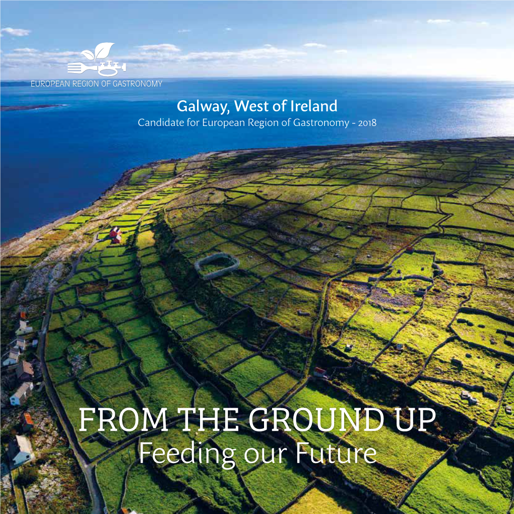 From the Ground up – Feeding Our Future Bid Book