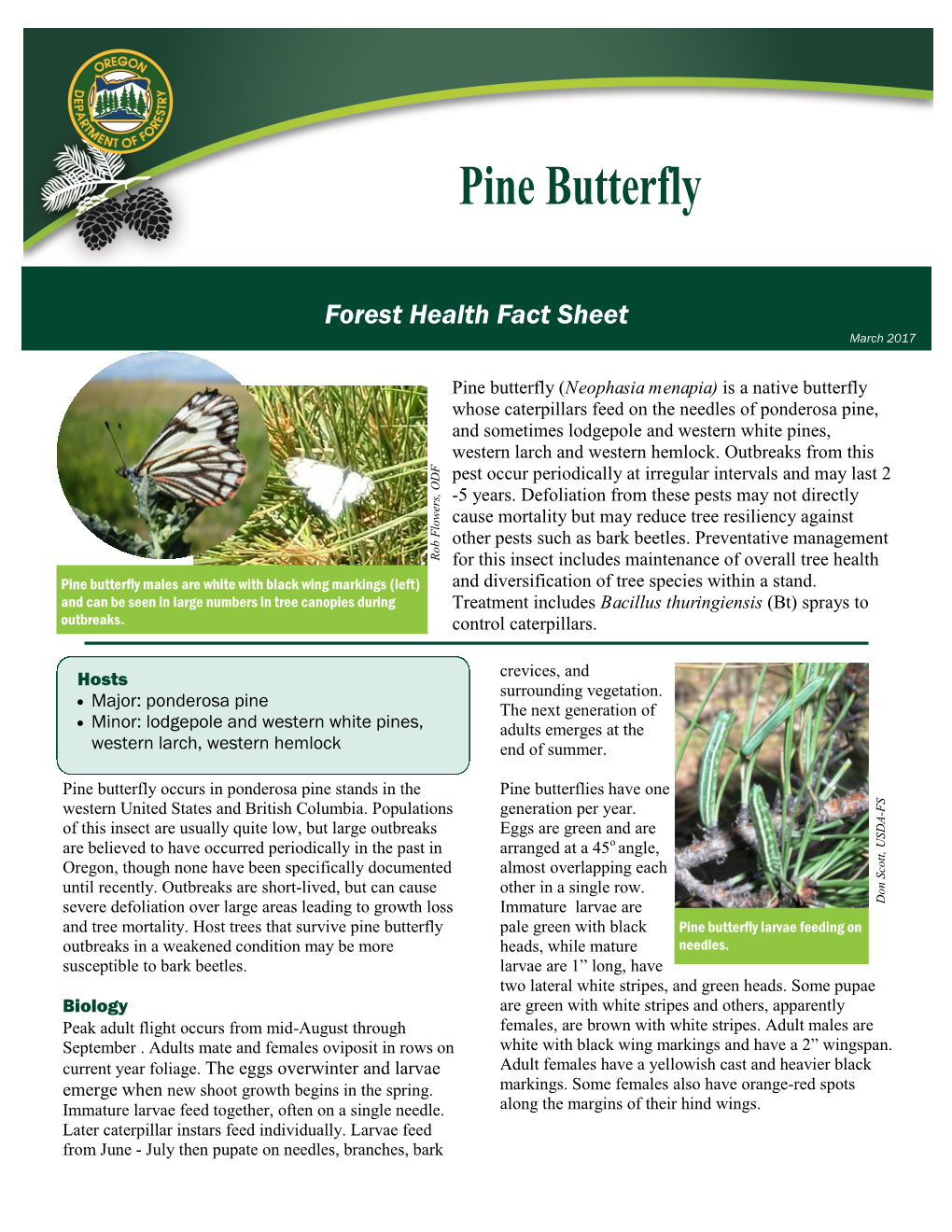 Pine Butterfly (Neophasia Menapia) Is a Native Butterfly Whose Caterpillars Feed on the Needles of Ponderosa Pine, and Sometimes Lodgepole and Western White Pines